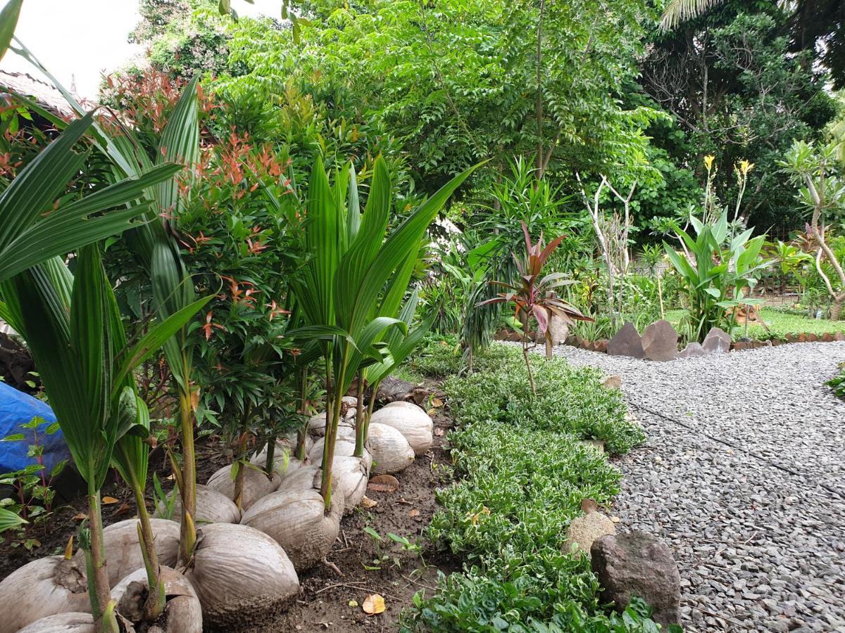 Same Same Bungalows - Eco Friendly Kuta  ภายนอก รูปภาพ